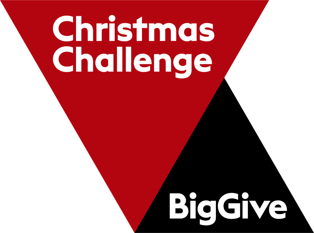 big give chrsitmas challenge