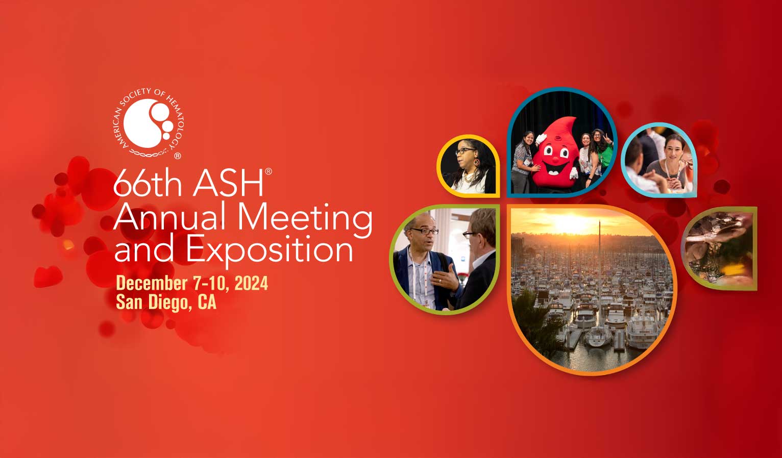 American Society of Hematology conference 2025