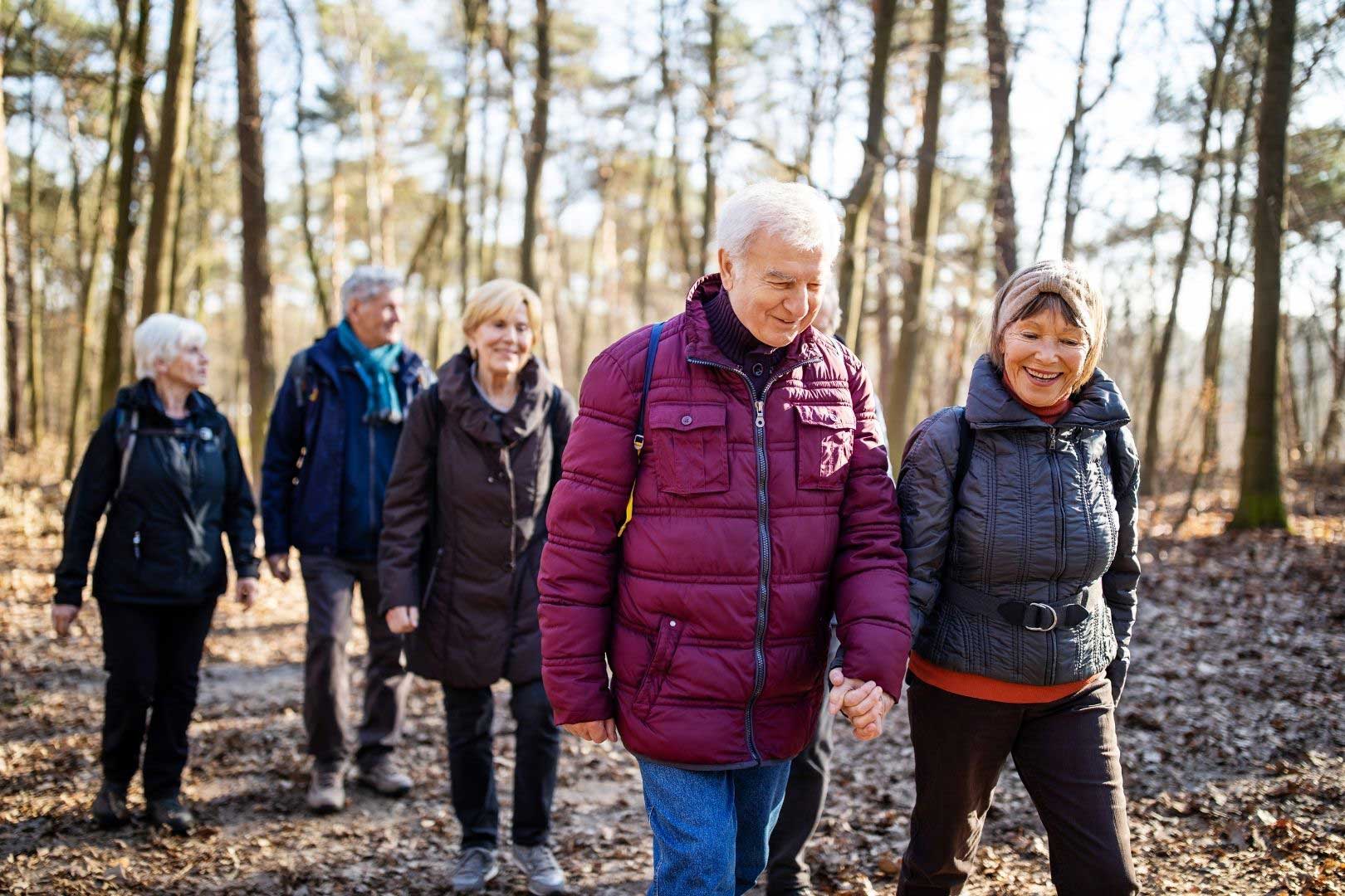 people walking in the woods